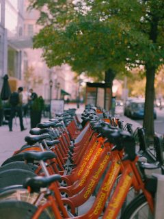 Washington, DC 11/2024. Expired Kodak Portra